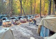 Supera narcolaboratorio de Morelos a otros aseguramientos