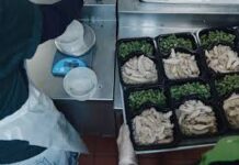 ¿Puede la comida ser realmente medicina? Estos médicos dicen que sí