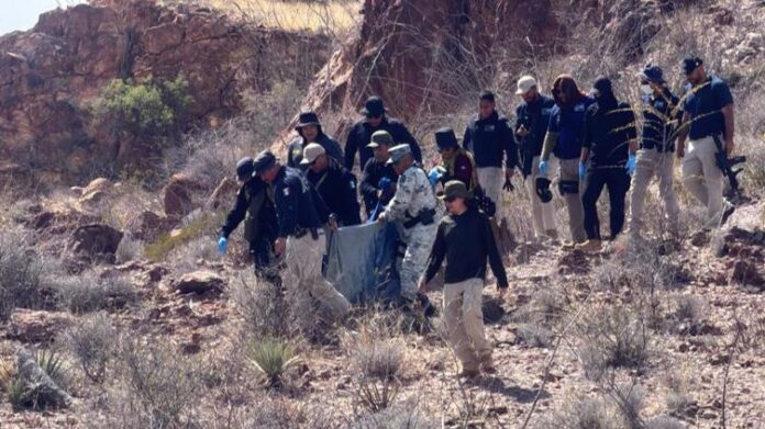 principal_a3b10b5d-77b2-43ad-892c-1a5377e75204