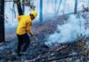 «Brotaron» incendios forestales en Urique y Guachochi