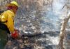 Combaten entre 10 incendio forestal en Urique