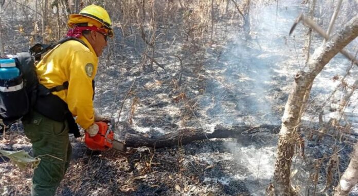principal_incendio-forestal