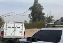 14 ejecutados el fin de semana en el estado: informe