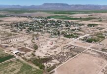 «Devora» incendio forestal 25 hectáreas en Chihuahua: Conafor