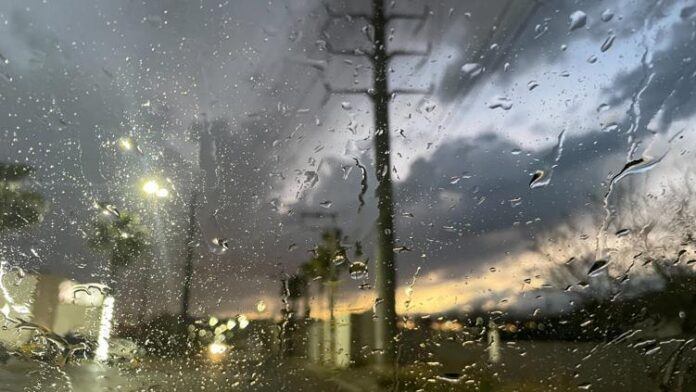 principal_principal_img_1599