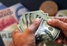 Frías las remesas de febrero; registraron poco avance