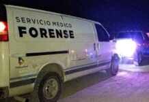 Hallan restos humanos en lote baldío de Cuauhtémoc