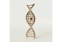 Esta podría ser la noticia médica más importante de la década