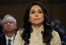 Dimite Tulsi Gabbard como directora de Inteligencia de EU