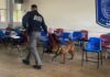 Asegura Fiscalía cigarros en escuela en «Operativo Mochila»