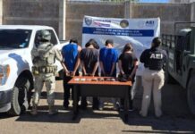 Capturan a 4 «halcones» en Allende; tiene 13, 15, 16 y 17 años