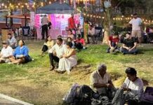 Será el Paseo Bolívar un corredor de sabores