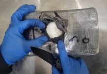 Frena CBP envío de cocaína en puente: aseguran 37 kilos