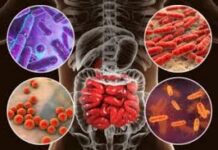 Revolución intestinal: ¿Cómo recuperar la ligereza y el bienestar que tu cuerpo te pide?