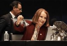Laura Itzel será secretaria de las Mujeres al dejar la mesa directiva del Senado