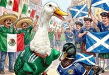 Se roban patos la atención en el Mundial