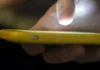 Prefieren mexicanos el celular y la TV para usar internet