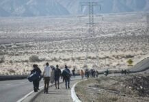 Condenan en EU a mexicano por tráfico de migrantes