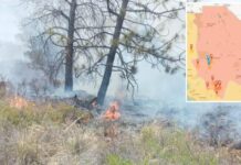 Crecen incendios forestales en Chihuahua; 2º estado más afectado