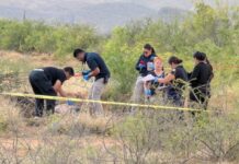 Identifican a ejecutado en camino de terracería por carretera a Aldama