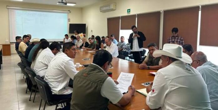 sag