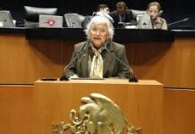 Se retira Sánchez Cordero al terminar la Legislatura