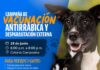 Realizarán campaña de vacunación antirrábica y desparasitación externa en la Colonia Campesina