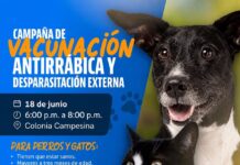 Realizarán campaña de vacunación antirrábica y desparasitación externa en la Colonia Campesina