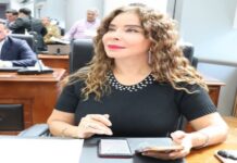 A través de la Comisión de Asuntos Fronterizos impulsaremos una mesa interinstitucional sobre contaminación: diputada Pérez Reyes