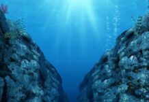 La vida extrema en la fosa de las Marianas y la biosfera profunda