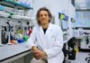Hallazgo inesperado sobre la barrera hematoencefálica