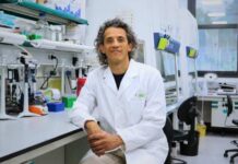 Hallazgo inesperado sobre la barrera hematoencefálica