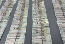 Llevaba 80 mil dólares con origen desconocido; es detenido por FGR