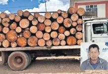 Detienen a hombre por presunto delito ambiental
