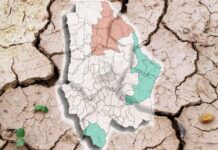 Bajó grado de sequía en cuatro municipios; subió en otros cuatro