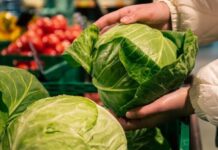 Taylor Farms amplía retiro de lechuga iceberg a 27 estados