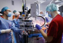Progresos en una incubadora líquida para bebes muy prematuros