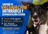 Invitan a jornada gratuita de vacunación antirrábica y desparasitación en la colonia Terrazas