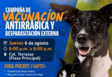 Invitan a jornada gratuita de vacunación antirrábica y desparasitación en la colonia Terrazas