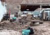 Afecta onda tropical a más de 100 viviendas en Venezuela