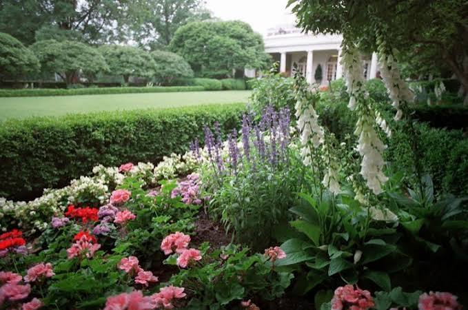 jardin