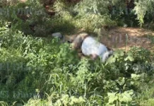 Localizan cuerpo en avanzado estado de descomposición