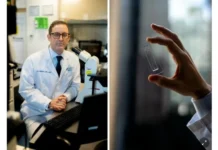 La IA encuentra esperma donde los médicos no podían