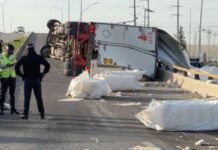 Vuelca tráiler algodonero en Delicias