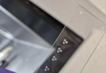 Cinco años llevan ya vivos y madurando unos minicerebros humanos cultivados en laboratorio