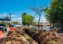 Repara JMAS 80 metros de línea de alcantarillado en avenida Morelia