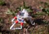Robots blandos capaces de saltar incesantemente