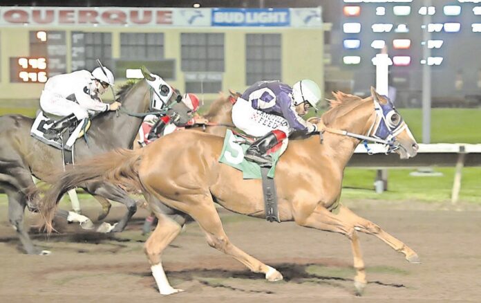 caballos-albuquerque-N3pvUIuAp