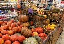 Llegó la temporada de Calabazas