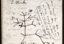 La transferencia horizontal de genes rompe el árbol de Darwin